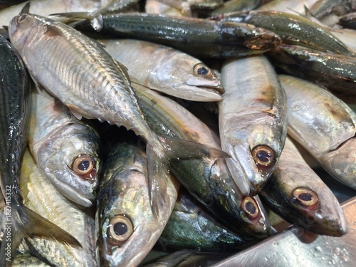 Fresh livestock fish selling at wet market