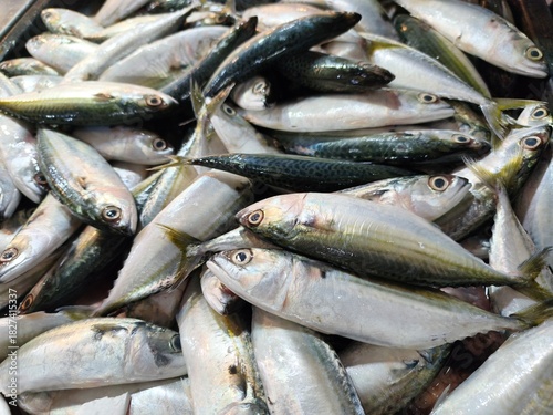 Fresh livestock fish selling at wet market