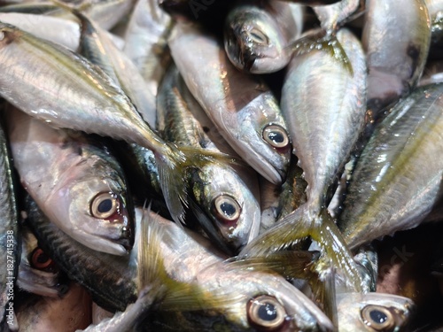 Fresh livestock fish selling at wet market