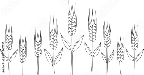  illustration of a bundle of wheat stalks with leaves.