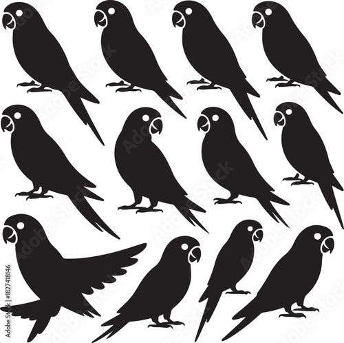 Black silhouette pattern of many parrots on a white background