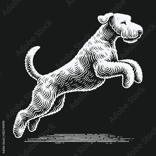 Jumping Airedale Terrier dog in a classic black and white illustration.