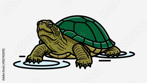 Illustration of a turtle with a green shell standing in shallow water.