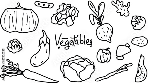 Hand-drawn Outline Doodle of Various Vegetables Collection. Simple line doodle vegetable illustration set for food and kitchen design