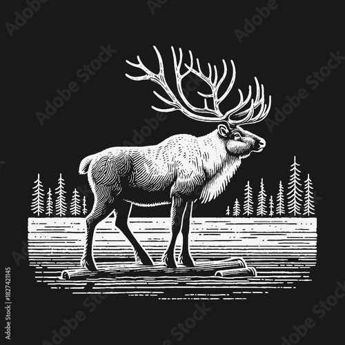 Vintage woodcut illustration of a majestic reindeer in the forest.