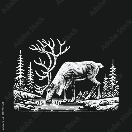 Vintage woodcut style reindeer drinking from a forest stream.