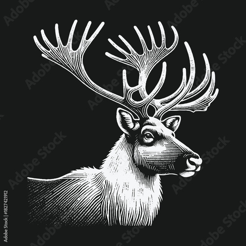 Majestic Reindeer Head with Large Antlers Illustration.