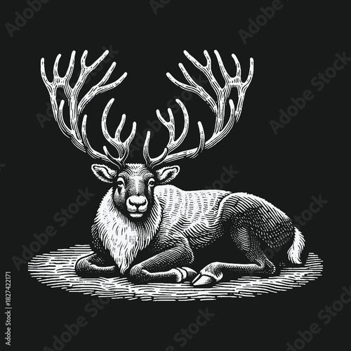 Vintage style black and white engraving of a majestic reindeer.