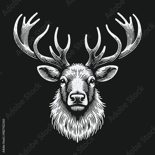Majestic deer head with large antlers in vintage engraving style.