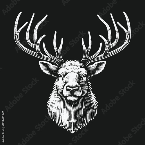 Majestic stag head with large antlers illustration.