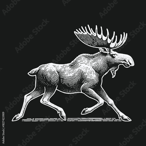 Vintage engraved style running moose illustration on black background.