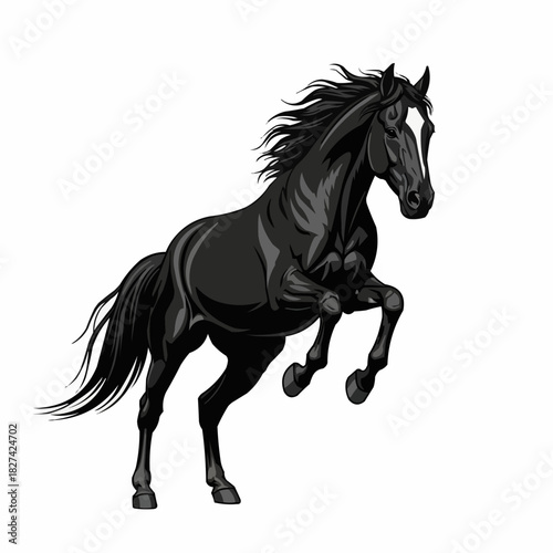 Powerful black stallion rearing up majestically on its hind legs.