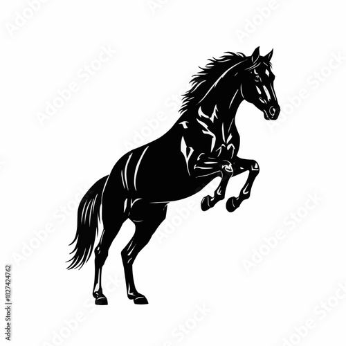 Powerful Black Horse Rearing Up on Hind Legs.