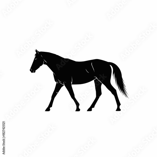 Elegant Black Horse Silhouette Walking Calmly on White Background.