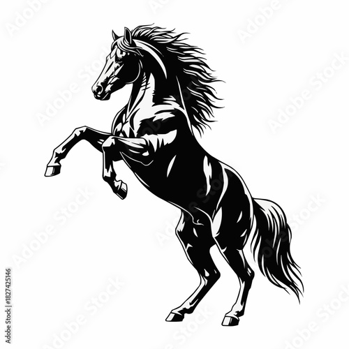 Powerful Black Horse Rearing Up on Hind Legs.