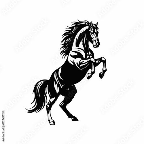 Majestic black horse rearing up in dynamic pose against white background.