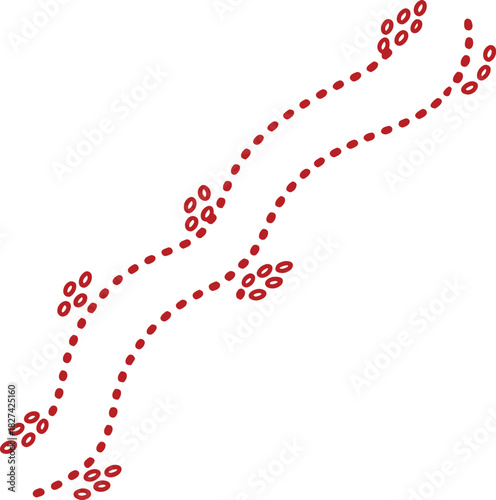 Red Dotted Footprints Trail on White Background path