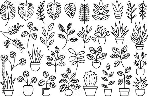 Outline Collection of Houseplants and Leaves leaf potted plant