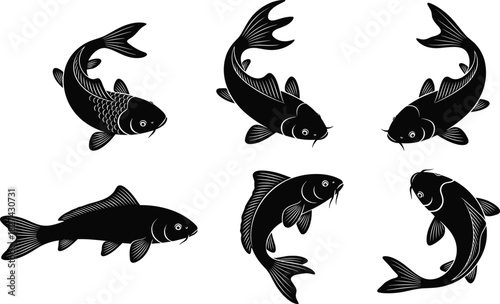 Set of black fish silhouettes, swimming koi carp vector illustrations, isolated aquatic animals, seafood logo icons, design elements collection.
