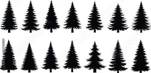 Pine tree silhouette collection featuring detailed evergreen forest shapes, natural conifer illustrations for outdoor design, woodland landscape elements, vector nature artwork, high quality graphics