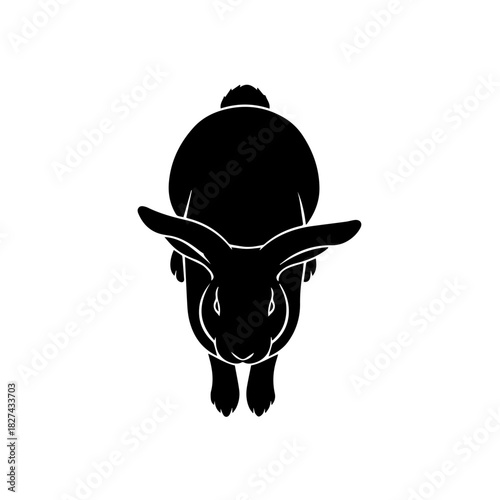 Black Rabbit Silhouette Top-Down View of a Cute Bunny in Simple Design