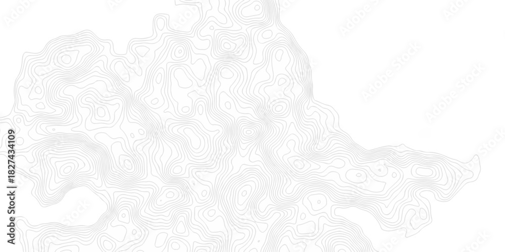 Fototapeta premium Vector abstract white outline area topography paper lines. Topographic contour. lines grid map seamless pattern. Geographic mountain relief lines background. 