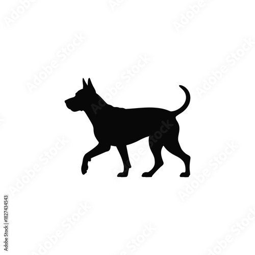 Silhouette of a dog walking with its tail up