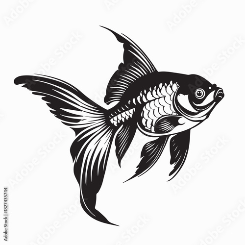 Elegant Goldfish Vector Illustration on white background