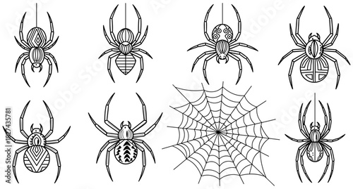 Stylized spider and web illustrations, black and white insect designs, hanging spiders with patterned abdomens, nature-themed vector set