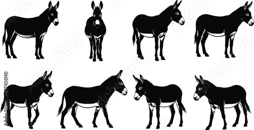 Donkey silhouettes collection, farm pack animal poses, black vector illustration, rural livestock design set isolated on white background