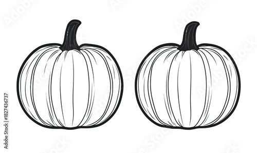 Two hand drawn outlined pumpkins with detailed vertical grooves and stems, black and white vector illustration for Halloween and autumn designs