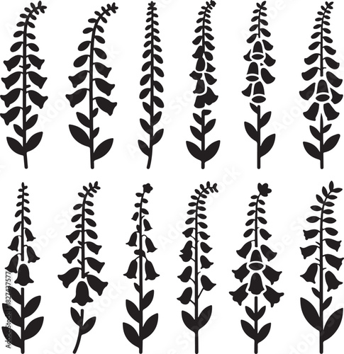 Foxglove Flower Silhouettes Pattern Elegant Floral Black and White Design