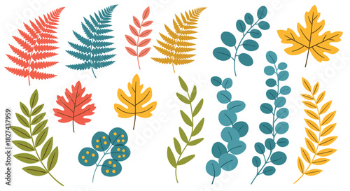 Colorful collection of autumn leaves and branches, including fern, eucalyptus, and maple in a simple, flat illustration style.