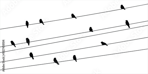 Multiple black bird silhouettes perched on parallel power lines against white background birds wires