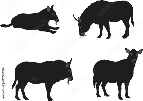 Bovine silhouette vector, grazing lying chewing standing poses, farm animal clipart, black livestock graphic, isolated posture design