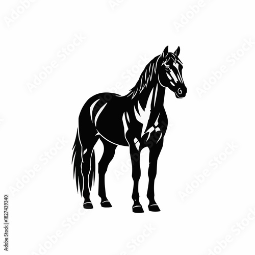 Elegant Black Horse Standing Proudly in Silhouette.