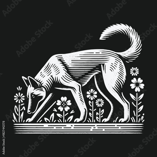 Vintage woodcut style illustration of a dog sniffing among wildflowers on a black background.
