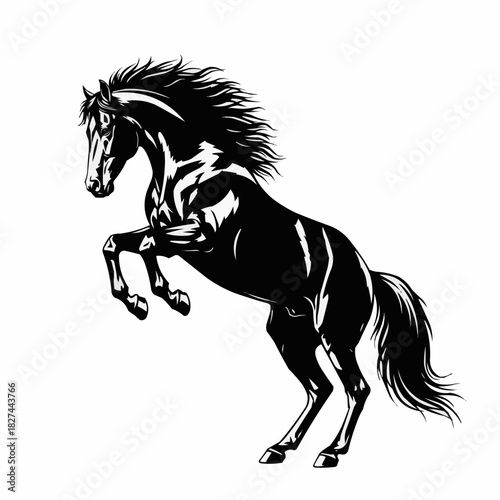 Powerful Black Horse Rearing Up in Dynamic Pose.