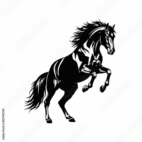 Powerful black stallion horse rearing up in a dynamic pose.