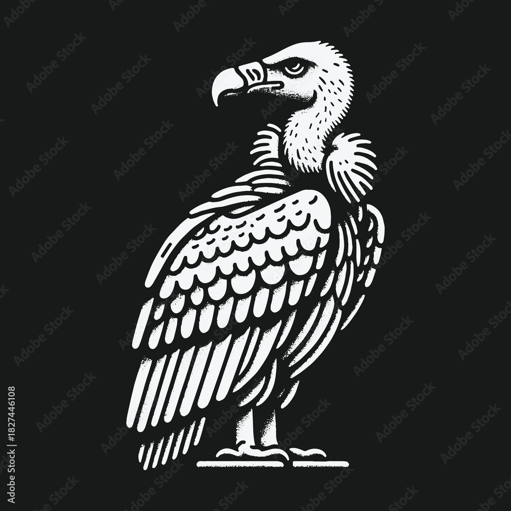 Fototapeta premium A striking black and white graphic illustration of a vulture standing in profile.