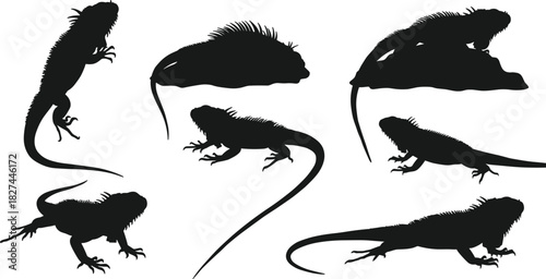 Black iguana silhouette collection isolated on white background, reptile lizard vector illustration, exotic animal wildlife design for nature art