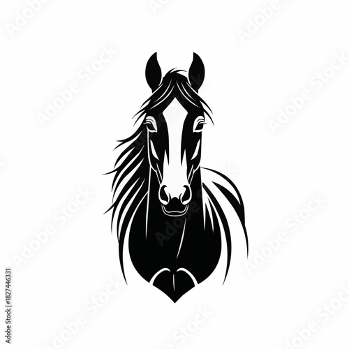 Majestic horse portrait showcasing elegant features and intense gaze in black and white.