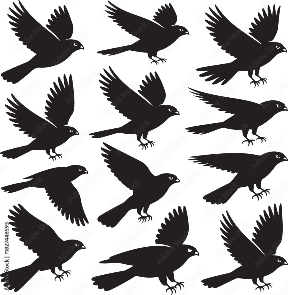 Obraz premium Silhouetted Hawks in Flight Pattern Graphic Resource Isolated Design