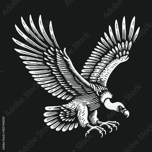 Monochrome vulture illustration in a classic engraving style.