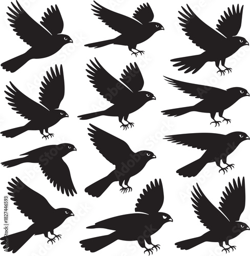 Silhouetted Hawks in Flight Pattern Graphic Resource Isolated Design