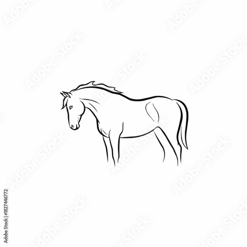 Elegant horse sketch showcasing graceful posture and refined lines on white background.