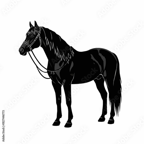 Elegant Black Horse Standing Calmly with Bridle in Detailed Silhouette.