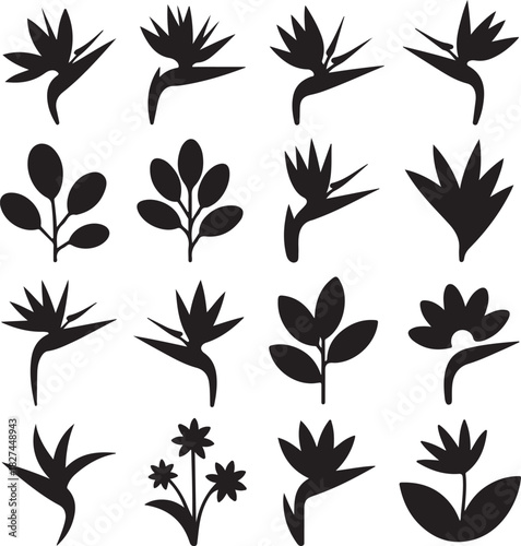 Vector Set of Tropical Flowers and Leaves Silhouette Graphic Resources