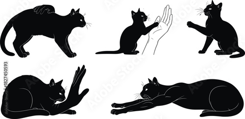 Black cat illustration, playful and grooming poses, human interaction, expressive feline behavior, pet concept, white background, minimal design, posture study