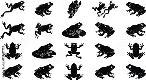 Frog silhouette vector set with jumping, sitting, climbing and various poses for biology, nature, amphibian and design illustration